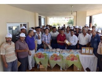 Erdemli’de Örtü Altı Domates Yetiştiricilerine 53 Bin Tuzak Dağıtıldı