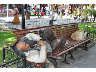 Bir Bankta İki Dost