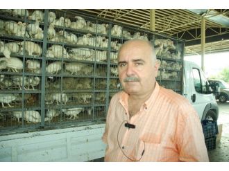 Manavgat Ziraat Odası 4 Bin Tane Tavuk Dağıttı