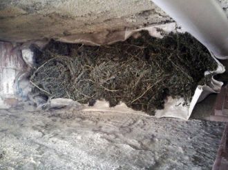 Şüpheli Şahsın Evinden Beş Kilo Esrar Çıktı