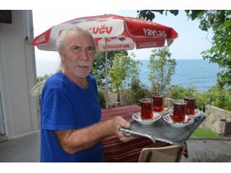 Odun Közünde Dağ Suyu İle Çay