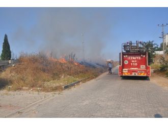 Tekirdağ’da Otluk Alanda Yangın