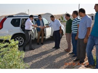 Viranşehir Kaymakamı Dr Huzeyfe Citer Çadırkentte İncelemelerde Bulundu