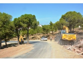 Ayvalık Belediyesi Ağaçları Kesmemek İçin Yol Güzergahını Değiştirdi