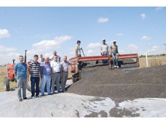 Çerkezköy Yağlı Tohumlar Tarım Satış Kooperatifi Ayçiçeği Alımına Başladı