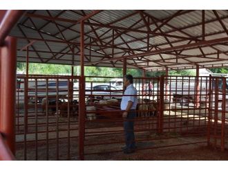 Hayvan Pazarı Düzenlenerek Hizmete Sunuldu