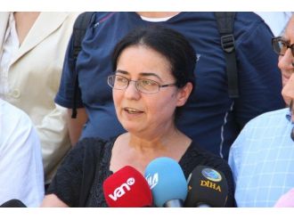 Barış Bloku Silvan Ve Lice’de İncelemelerde Bulunacak