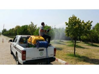 Turgutlu’da İlaçlama Devam Ediyor