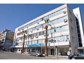 Aliağa’nın Zeytinlikleri İhaleye Çıkıyor