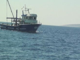 Trol İle Balık Avlayanlara Ceza