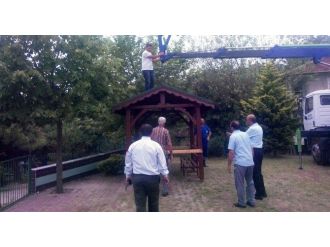 Kamelyalar Kartepelilerin Hizmetinde