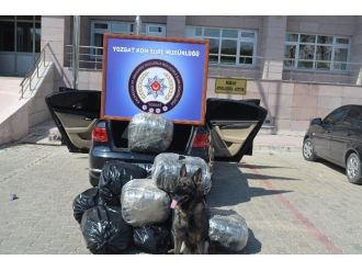 Yozgat’ta 127 Kilo Esrar Ele Geçirildi