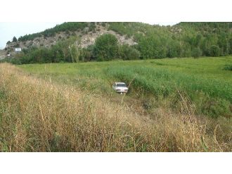 Otomobil Çeltik Tarlasına Uçtu: 3 Yaralı