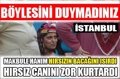 Hırsızın bacağını ısırdı! 