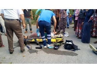 Sakarya’da Mevsimlik Fındık İşçilerini Taşıyan Traktör Devrildi: 3 Yaralı