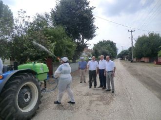 Amerikan Beyaz Kelebeği İle Mücadele Sürüyor