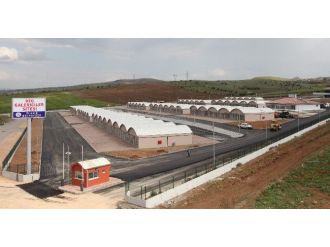 Elazığ’da Galericiler Sitesindeki İş Yerleri İhale Ediliyor