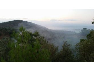 Kazdağlarında Orman Yangını Kontrol Altına Alındı