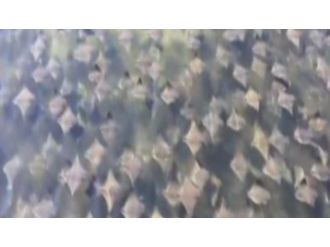 Gökyüzü Değil Denizin Dibi