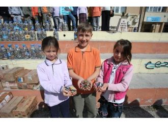 8 Ayda 3 Bin 500 Kilogram Atık Pil Toplandı