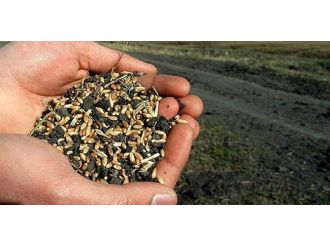 Çiftçilere Tohum Desteği Uyarısı