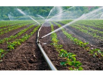 Tarım Sektöründe Şoke Eden Su İsrafı