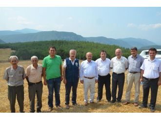 Milletvekili Kahveci, Orman Yangını Çıkan Bölgede İncelemelerde Bulundu