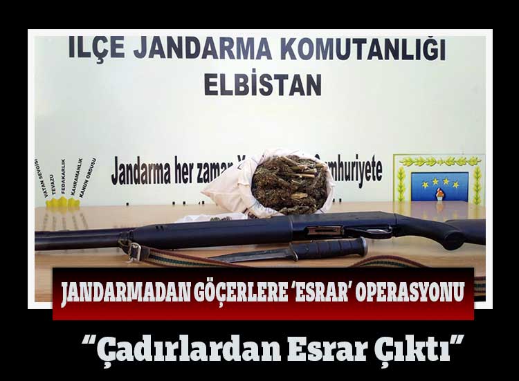 Çadırlardan Esrar Çıktı