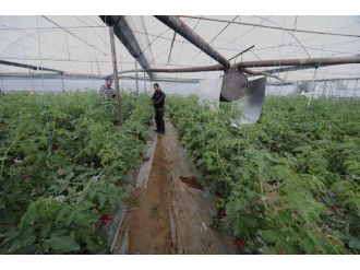 Ordu’da ‘İyi Tarım’ Yapan Üretici Sayısı Arttı