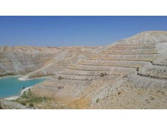 Atatürk Baraj Sahili Boydan Boya Meyve Bahçesi Oluyor