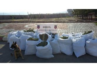 Jandarmadan 1 Buçuk Milyon Tl’ Lik Esrar Darbesi