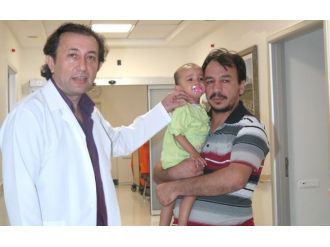 Dana Kalbinden Alınan Zarla Hayata Tutundu