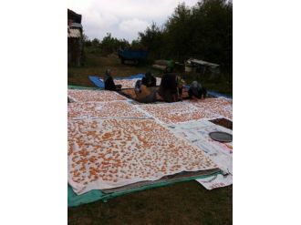 Kış Aylarının Vazgeçilmezi Olan Tarhana Hazırlıkları Başladı