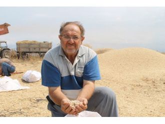 (Özel Haber) Nohutta Verim Düştü Fiyatlar Arttı
