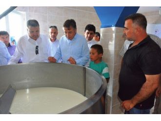 Yunusemre Belediyesi Üreticiye Destek Oluyor