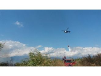 Edremit’te Sazlık Yangını