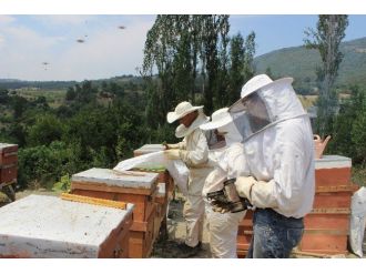 Osmaneli’de Bal Bereketi