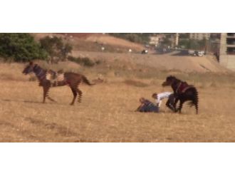 Atlar Çarpıştı: Biniciler Ölümden Döndü !