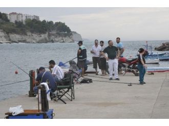 Olta Avcıları İş Başında