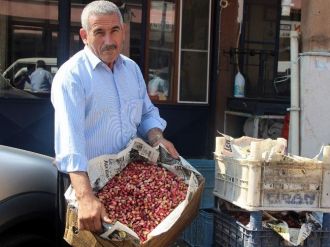 (Özel Haber) Fıstık Üreticisi Zor Durumda