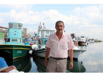 Balıkçıların Başı Yunuslarla Belada