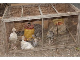 Ölen Eşiyle Bir Gün Boyunca Aynı Evde Kaldı