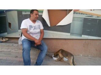 Büyükşehir’den Sokak Hayvanları İçin Anlamlı Proje