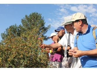 Oltu’da Doğa Yürüyüşleri Sürüyor