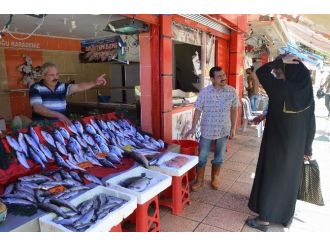 Balıkçılar Eylül Ayını Bekliyor