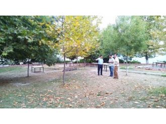 Kavaklık Yenileniyor