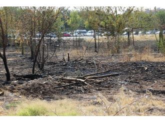 Diyarbakır’da Korkutan Yangın
