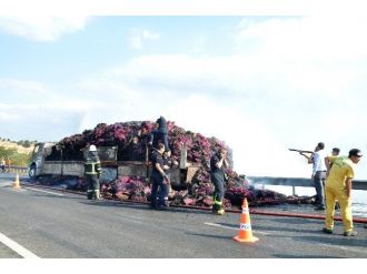 Karton Yüklü Kamyon Alev Topuna Döndü