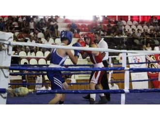 Geleceğin Boksörleri Muğla’da