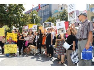 Memiş, Hayvanseverlerle Bir Araya Geldi